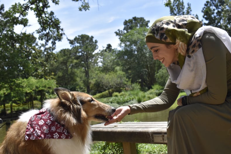 Animal Photographer in Houston, Artistic Operations | 832-659-0099